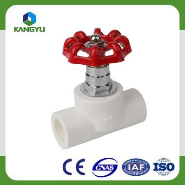 Obiteljska dekoracija PPR cijevi za povezivanje PPR cijevi i ventila